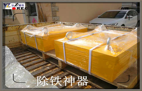 上海國(guó)際永磁除鐵器