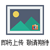 ALLWEILER油泵NBT80-160